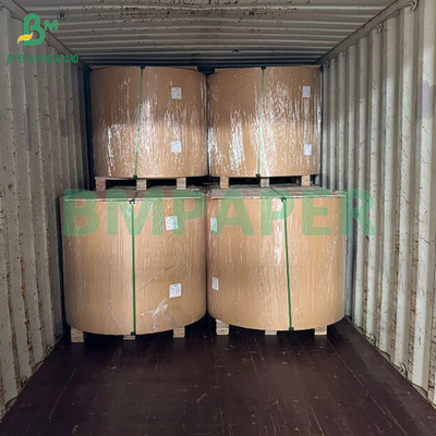 50gm giấy lọc cà phê loại thực phẩm tẩy trắng và không tẩy trắng