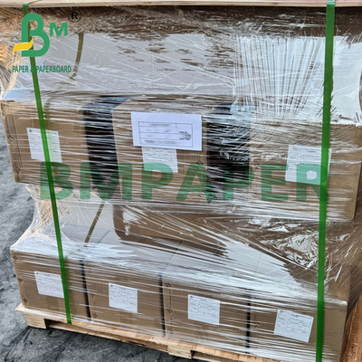 260g giấy ảnh RC phủ nhựa hai mặt không mờ