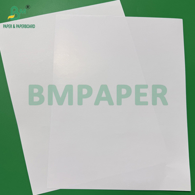 120g C1S phủ một mặt giấy bóng 68cm 110cm Roll Width