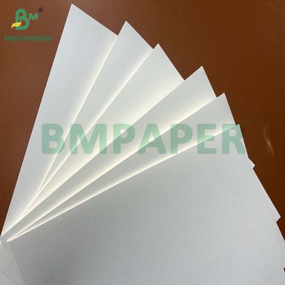 200um 240um giấy đá chống nước để bọc thịt 787 x 520mm