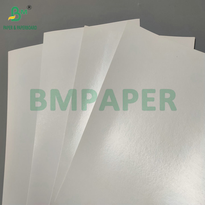 Chống nước PE đơn phủ 190gsm 210gsm Cupstock Để làm cho ấm và lạnh giấy ly