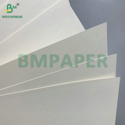 Chống nước PE đơn phủ 190gsm 210gsm Cupstock Để làm cho ấm và lạnh giấy ly