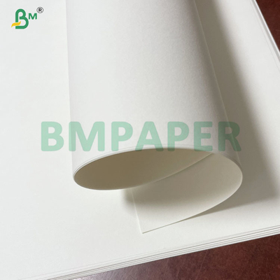 Bảng giấy giấy gỗ nguyên thủy 65g 70g 75g trong lá hoặc trong cuộn