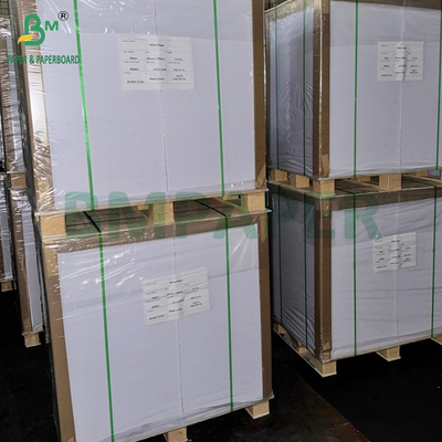 Bảng giấy giấy gỗ nguyên thủy 65g 70g 75g trong lá hoặc trong cuộn