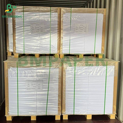 Bảng giấy giấy gỗ nguyên thủy 65g 70g 75g trong lá hoặc trong cuộn