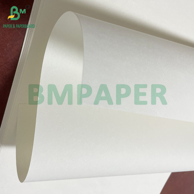 Bảng giấy giấy gỗ nguyên thủy 65g 70g 75g trong lá hoặc trong cuộn
