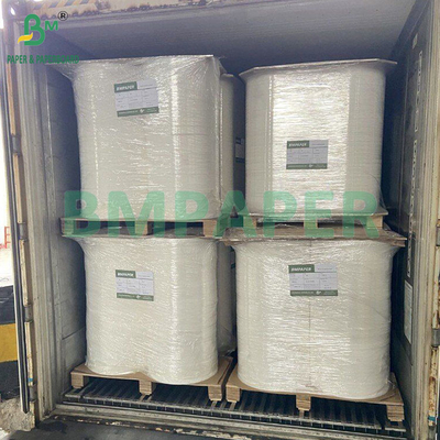 50gm gỗ bột tẩy trắng và không tẩy trắng giấy lọc cà phê cấp độ thực phẩm 328mm