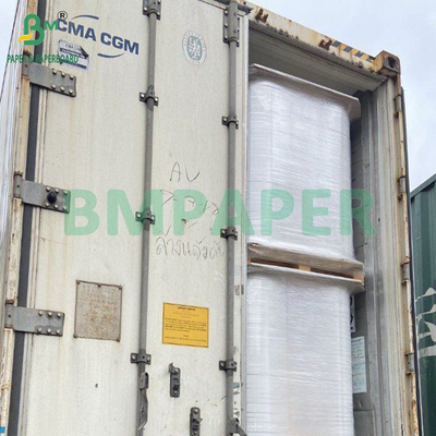 50gm gỗ bột tẩy trắng và không tẩy trắng giấy lọc cà phê cấp độ thực phẩm 328mm