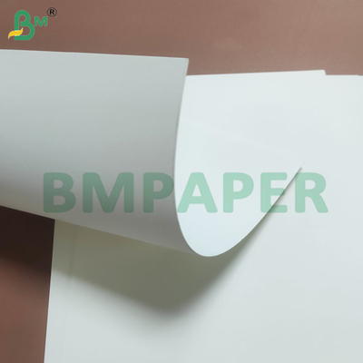 PE phủ chống ẩm Bảo vệ giấy ly dùng một lần