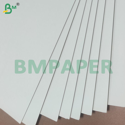 270GSM+15GSM PE phủ lớp giấy chống rò rỉ Cup Base CUPP2S