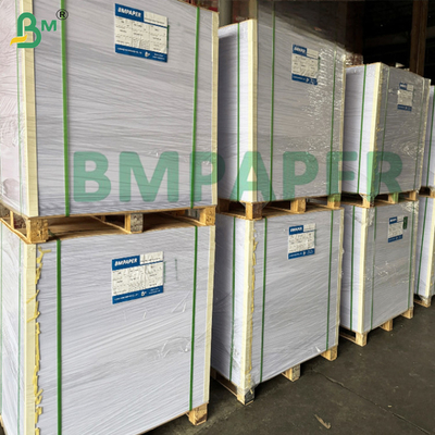 250gm Aqueous Cup Base giấy nước dựa trên nhựa không loại thực phẩm