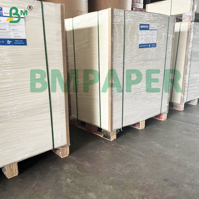 280gsm Bạch giấy PET Băng bếp cho đĩa giấy