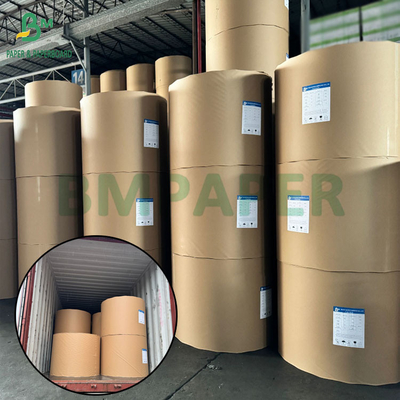260g 280g Bảng giấy PET màu trắng chất lượng tốt cho khay lò chống nhiệt 200 + độ