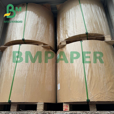 90gr Virgin Pulp Biodegradable Gift Wrapping Craft Bag giấy cuộn