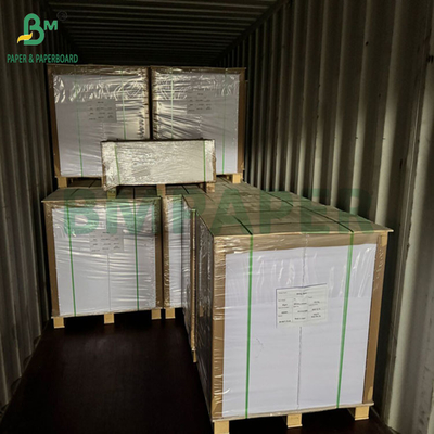 240gm 260gm Bạch in Cupp1s giấy để làm cho cốc 700mm 800mm