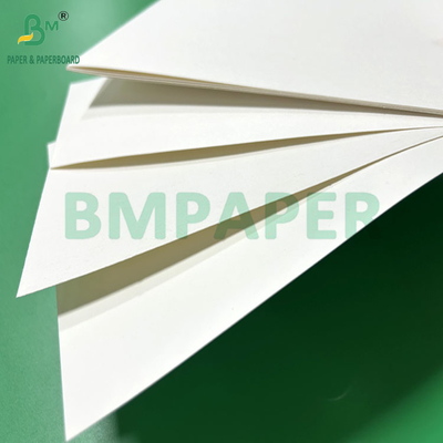 240gm 260gm Bạch in Cupp1s giấy để làm cho cốc 700mm 800mm