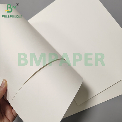 190 /240gsm18PE ốp phủ mat thực phẩm Bảng giấy cốc màu trắng để đóng gói nước / Cà phê