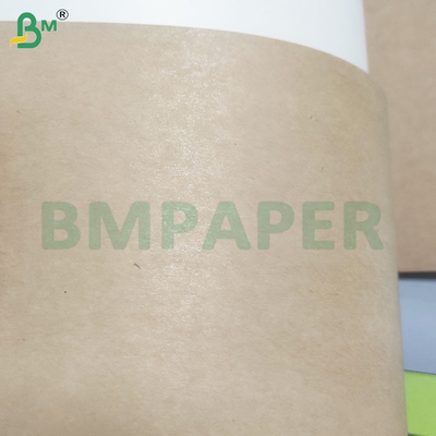 195gsm + 15gsm PE phủ Bowl Bảng giấy dự trữ cho thùng chứa thực phẩm