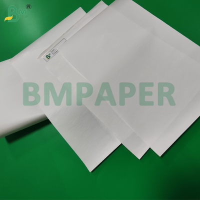 Giấy cuộn lớn nhiệt 55gsm 65gsm cho máy POS 480mm thân thiện với môi trường