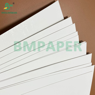 350GSM 400GSM Single Side Glossy Blister Cardboard for Thermoformed Trays
