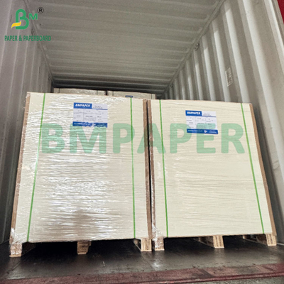 350GSM 400GSM Single Side Glossy Blister Cardboard for Thermoformed Trays