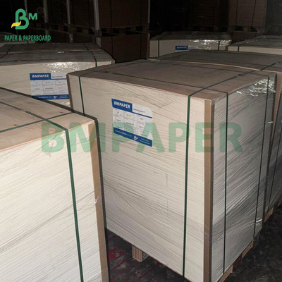 350GSM 400GSM Single Side Glossy Blister Cardboard for Thermoformed Trays