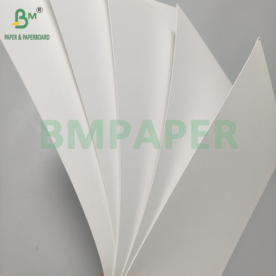 250-400gsm White C1S Coated Blister Paper for Blister packaging cardbaord