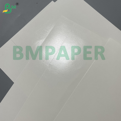 Giấy đế bát tráng bóng cường lực 240gsm+15gsm dùng cho bát đựng đồ uống nóng và thực phẩm nóng