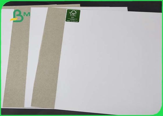 Great Stiffiness Xám Back White Side Clay In Paper Offset In Rolls