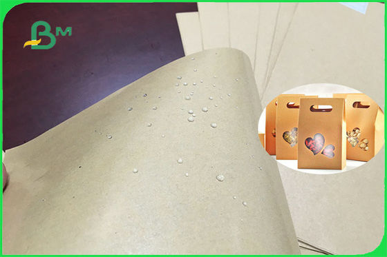 300gsm 350gsm PE Giấy tráng một mặt hoặc hai mặt cho tấm FSC FDA