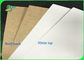 Bột giấy nguyên chất 300gsm 365gsm Lớp lót Kraft trắng hàng đầu để đóng gói thực phẩm