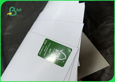 300g 350g 400g Bề mặt trắng C1S Xám trở lại Độ dẻo dai tốt trong Jumbo Roll