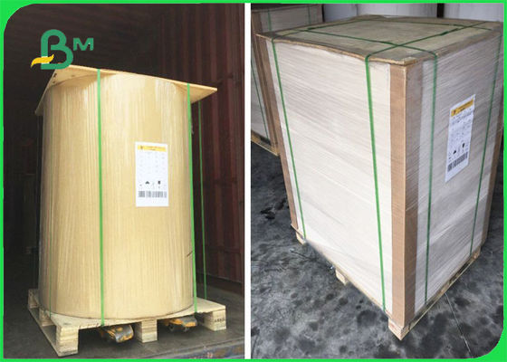 Giấy kraft lật mặt được chứng nhận FSC trong tờ giấy Một mặt trắng 32 × 40 ''