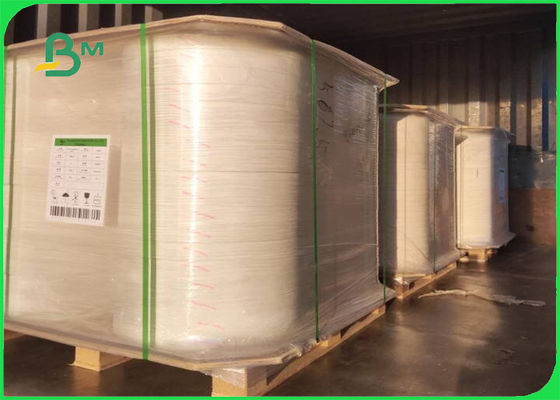 Hấp thụ nước nhanh và giấy coaster có thể in cho tấm khô