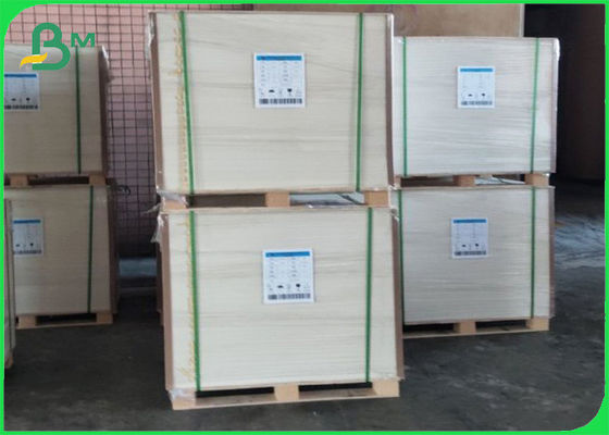 Sơn PE hoàn toàn tái tạo Cupstock giấy phủ polyethylene 210g + 10g