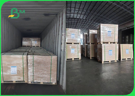 FSC đã phê duyệt 70g 80g cuộn giấy không gỗ trắng cho brochure mịn