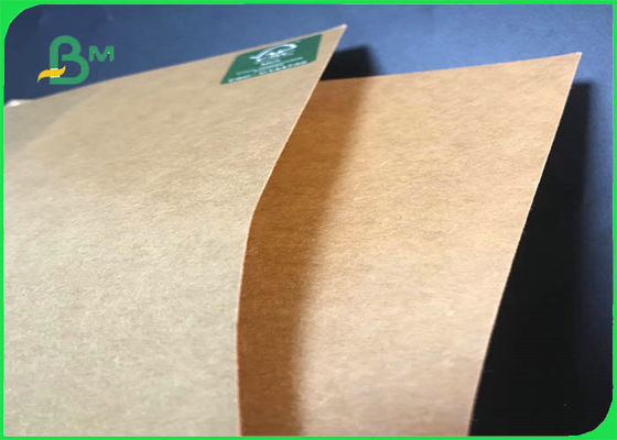 Bao bì thực phẩm Tấm giấy Kraft tráng PE Lớp thực phẩm cho hộp Takeaway