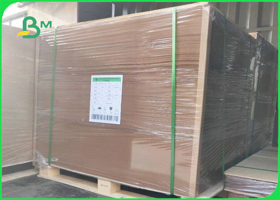 Tấm Kraft 300gsm + 15g PE có thể phân hủy sinh học cho bao bì thực phẩm