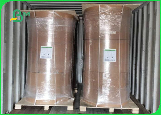 Tấm Kraft 300gsm + 15g PE có thể phân hủy sinh học cho bao bì thực phẩm