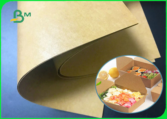 Tấm Kraft 300gsm + 15g PE có thể phân hủy sinh học cho bao bì thực phẩm