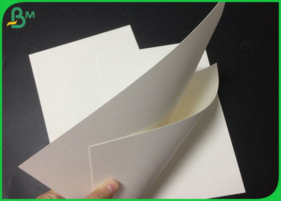 1.3mm 1.4mm Pure Pulp White Absorbent Blotter Paper For Making Beer Mat 24 x 36 inch