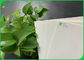Bột giấy trắng tự nhiên 0,6mm 0,7mm Giấy thấm nước cho các dải thử nghiệm sinh học