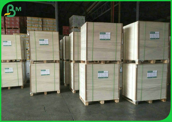 90% 800mm 900mm Độ trắng 190g 210g 250g Bảng ngà cấp thực phẩm cho hộp thực phẩm