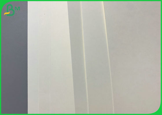 Hiệu ứng có thể in Giấy cốc không tráng 300gsm cho cốc giấy uống nóng