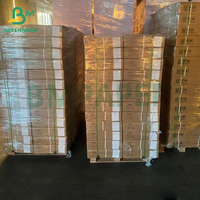 A3 A4 injet in ảnh Studio chân dung nền nền giấy nền
