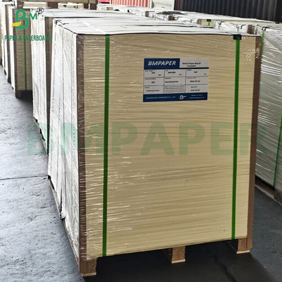 Cốc giấy tùy chỉnh cho trái cây và dã ngoại trong nhu cầu cao