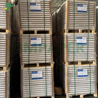 Chất chống mỡ Cà phê trắng màu vàng màu xanh lá cây Cupcake Liner giấy muffin cho nướng