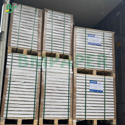 40gsm High - Temperature Resistance Cupcake Oven Baking Paper for Small Cakes Sheets 
