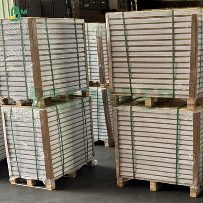 Giấy Couche bóng C2S có độ cứng cao 300 310 320gsm