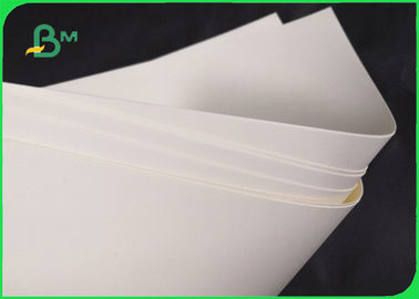 Giấy phân hủy sinh học 190gsm 210gsm Cơ sở Cupstock cho bát thức ăn 720MM 860MM
